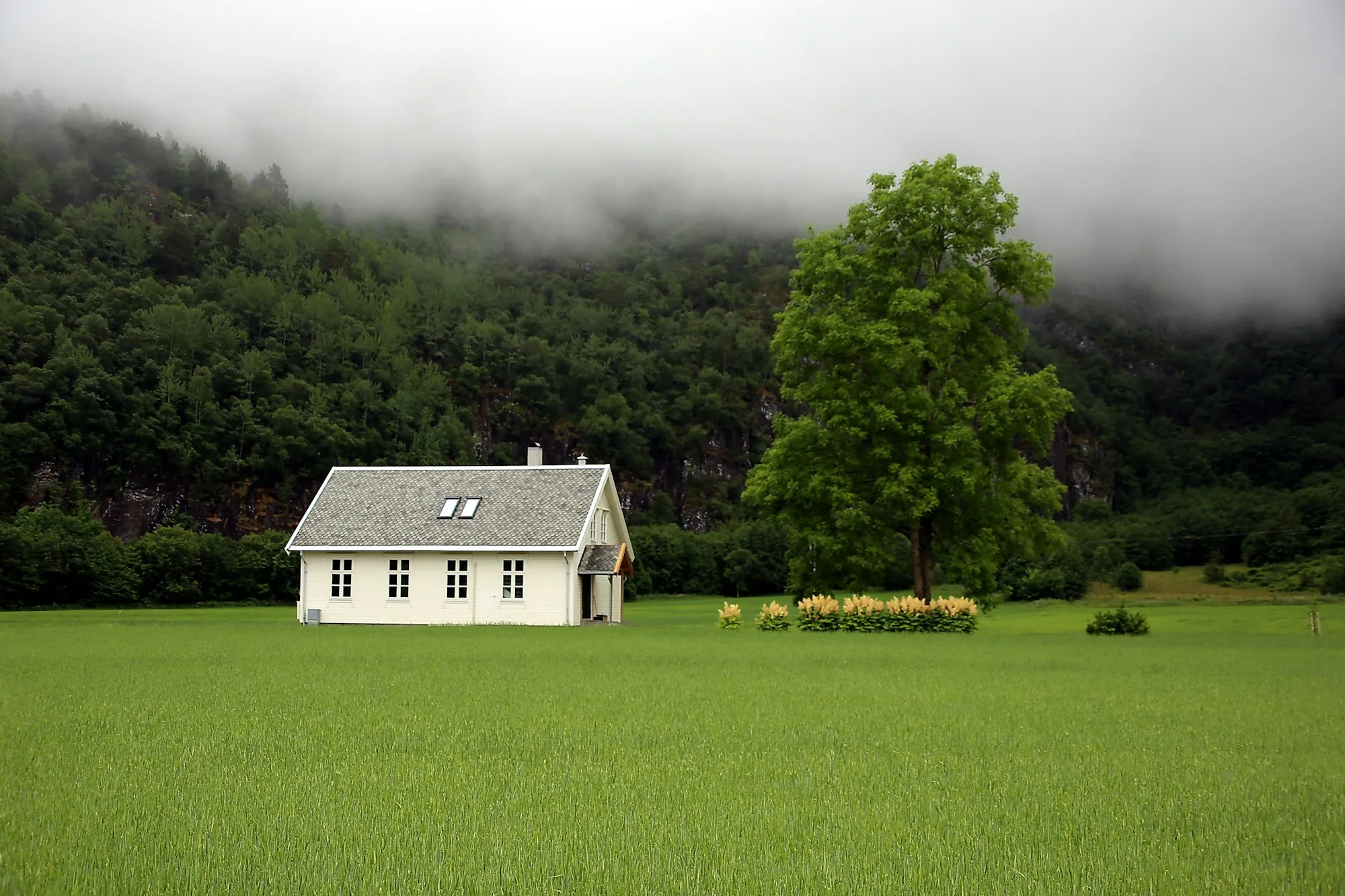 Small white house on a broad green lawn in front of wooded hills